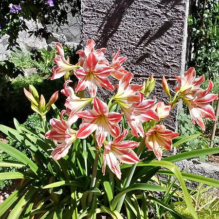 Casa Romeo Villa Adrano Eksteriør bilde